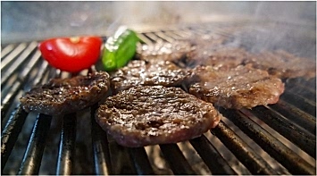 Modèles de Grills Électriques et Prix