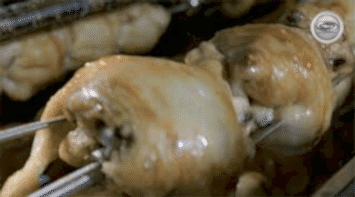 Machine à frire le poulet