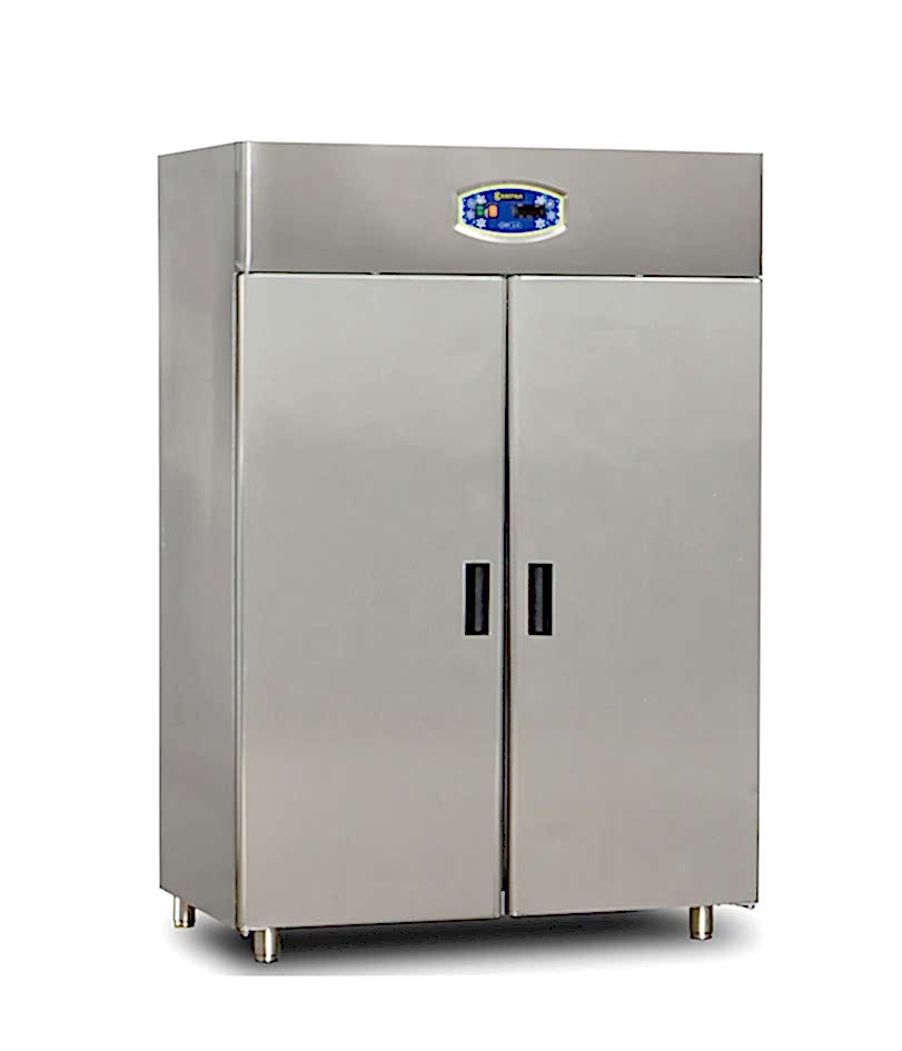 22DBS2S-46 İki Kapılı Dik Tip Statik Buzdolabı 40*60 Tepsi